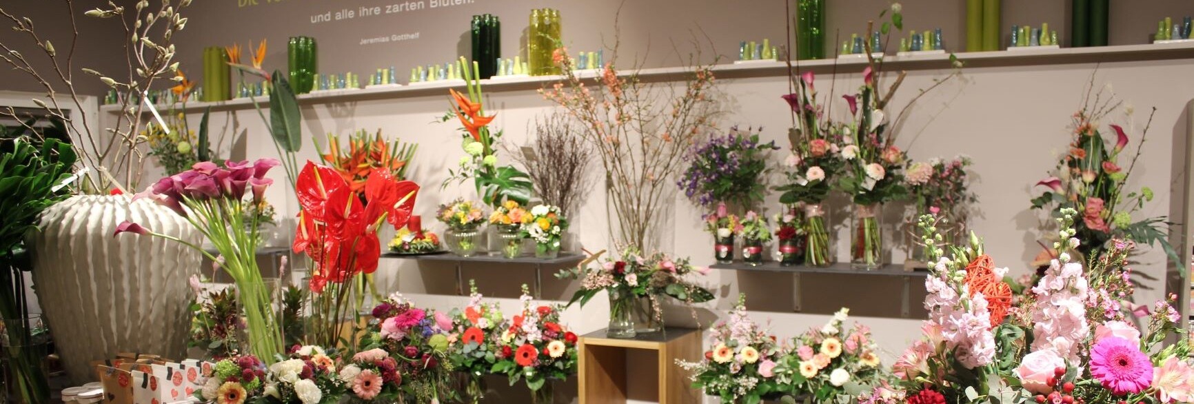 Ein Überblick über die bunten und farbenfrohen Schnittblumen im Blumengeschäft Fuchsberger