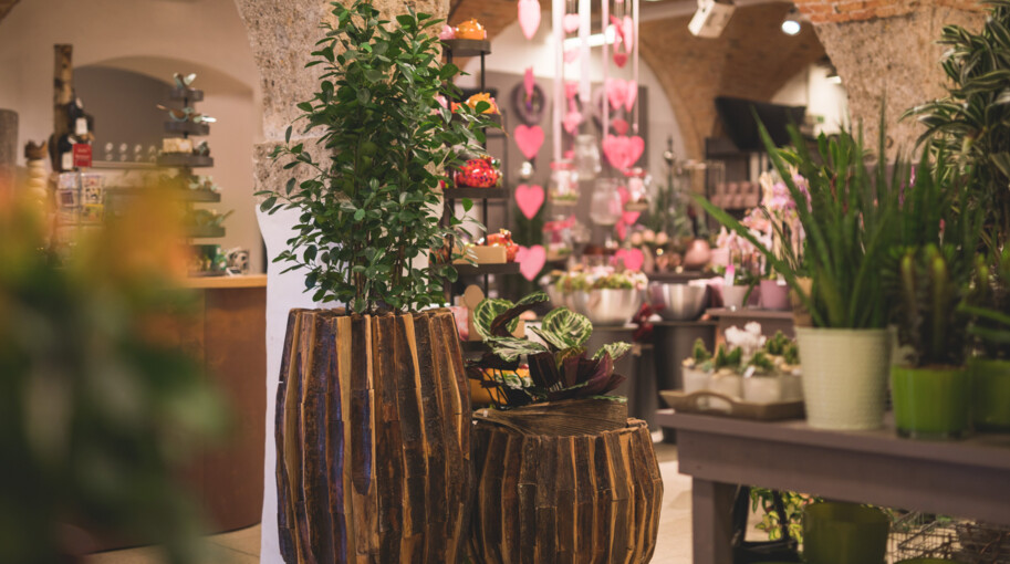 Ein Überblick über verschiedene Topfpflanzen und Dekorationsartikel im Blumengeschäft Fuchsberger