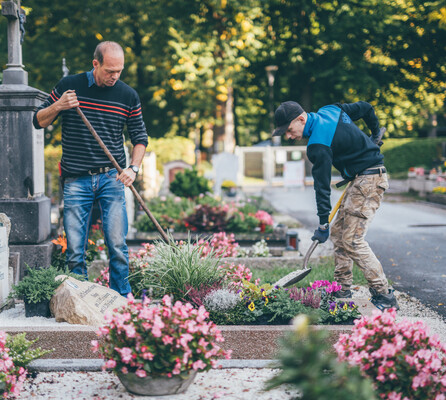 Zwei Mitarbeiter umsorgen gewissenhaft die Pflanzen eines Grabes