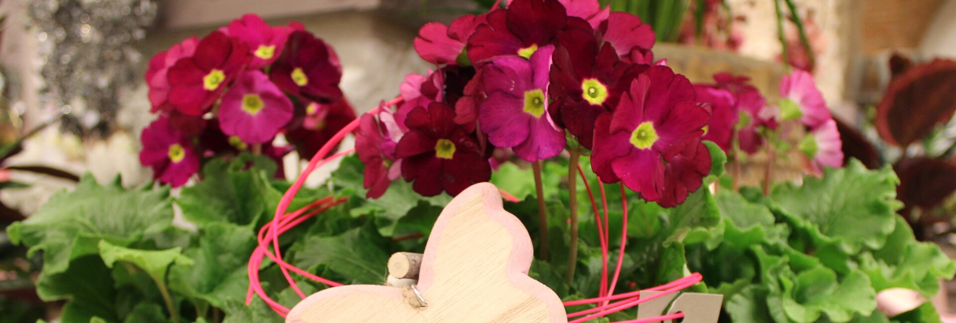 Ein Blumengesteck aus Stiefmütterchen, rotem Draht und einem Holz-Schmetterling