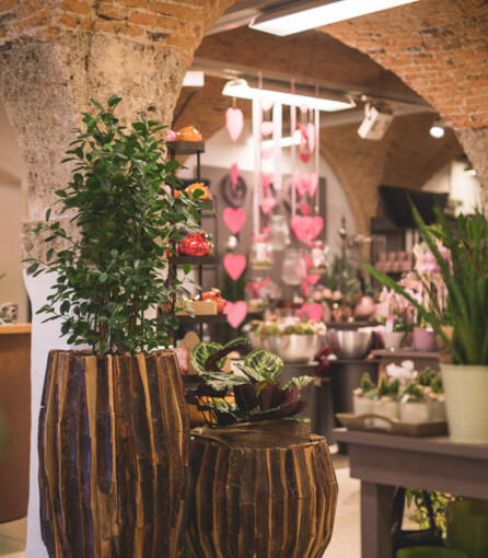 Ein Überblick über die verschiedenen Angebote im Blumengeschäft Fuchsberger