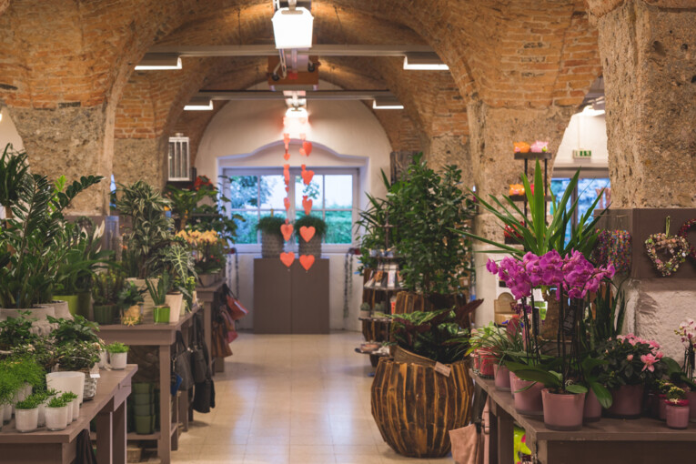 Ein Überblick über die verschiedenen Dekorationsartikel und Topfpflanzen