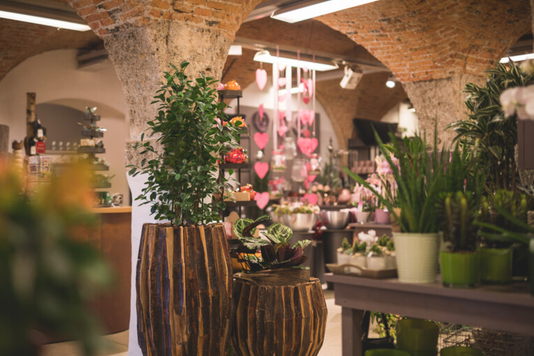 Innenaufnahme der Gärtnerei Fuchsberger in Salzburg