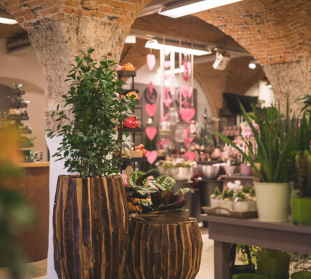 Ein Überblick über einen Teil der Angebote im Blumengeschäft Fuchsberger